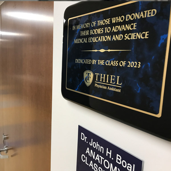 Humanity gift   2023 