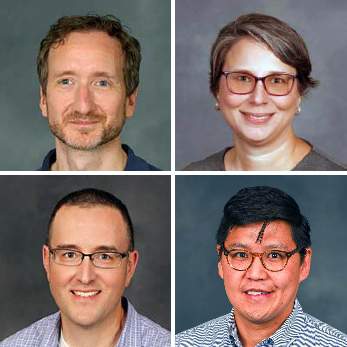 Full professors   2024