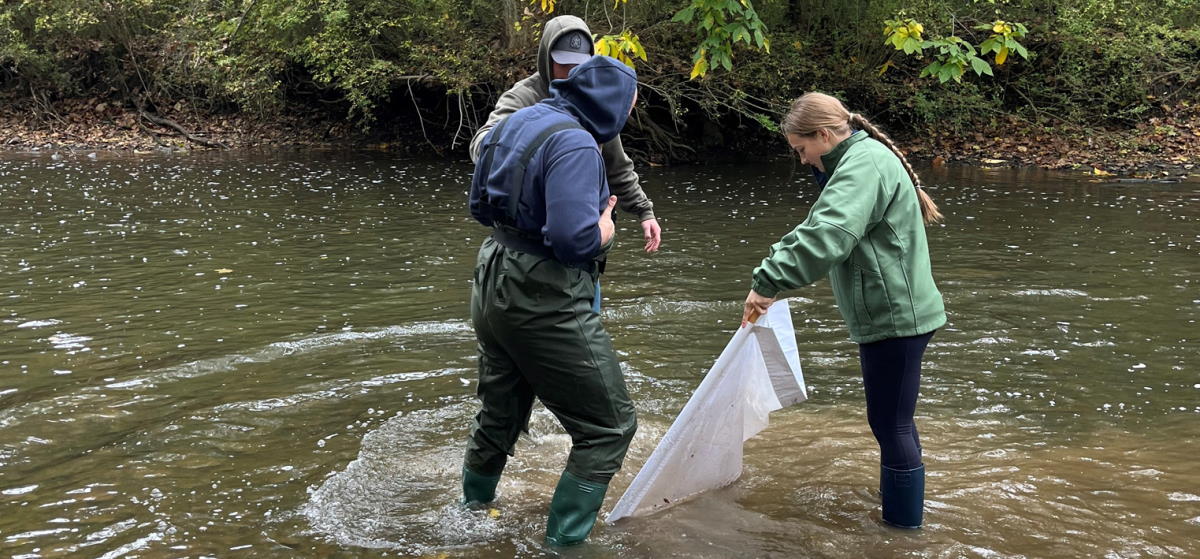 ensc department banner 2024
