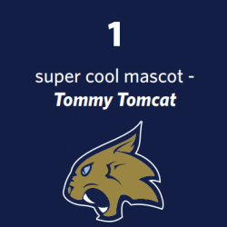 Tommy Tomcat Logo