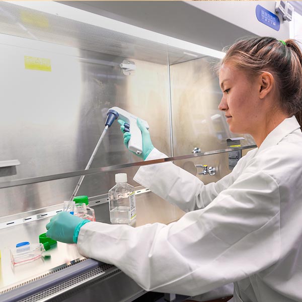 Food science student research bio   2026