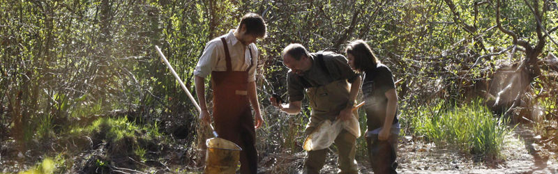 biology banner photo 