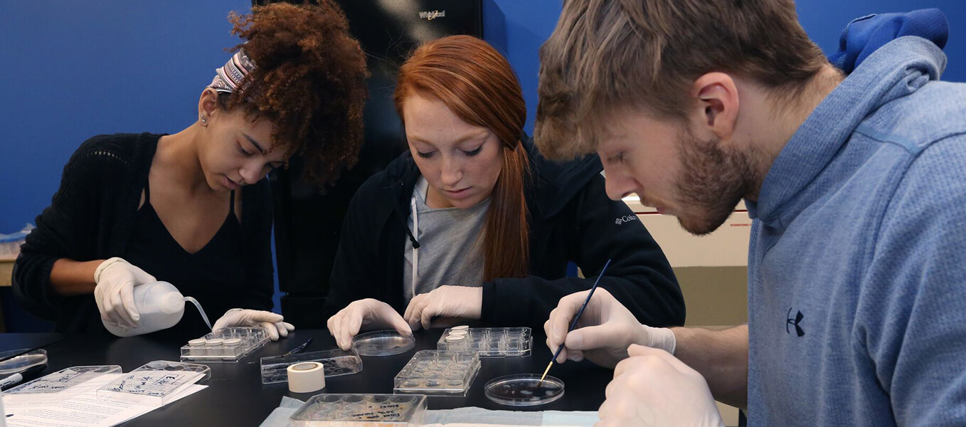 health systems major 