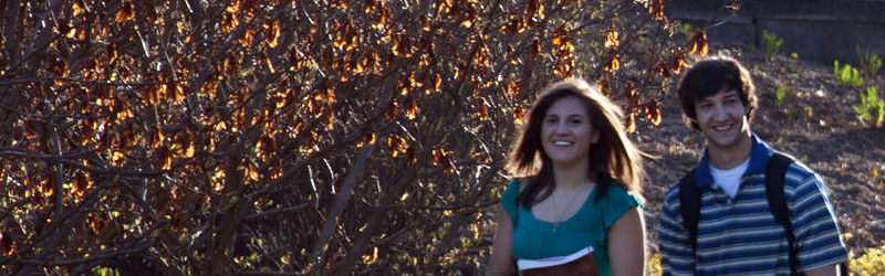 why thiel banner photo 