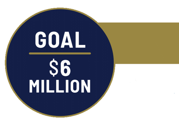 Goal is 6 million dollars