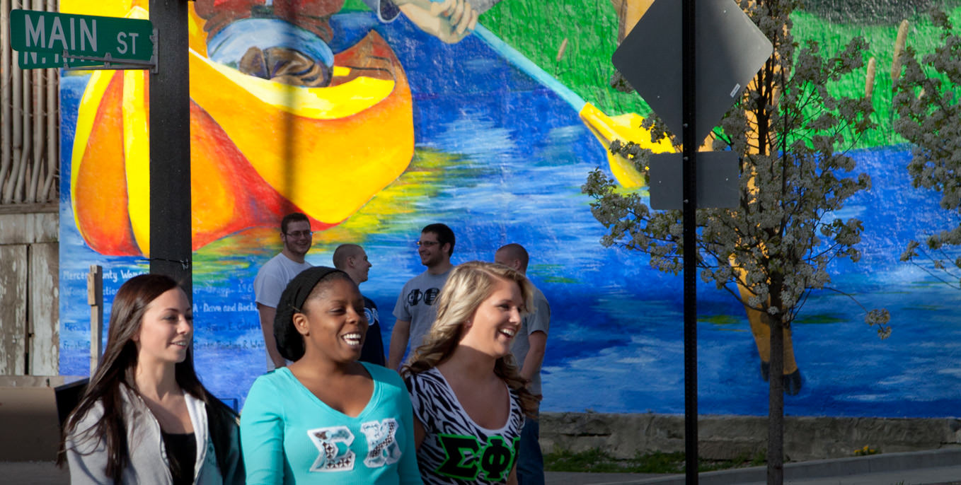 Community Festival story 