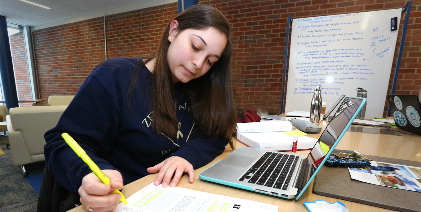 Online courses story 