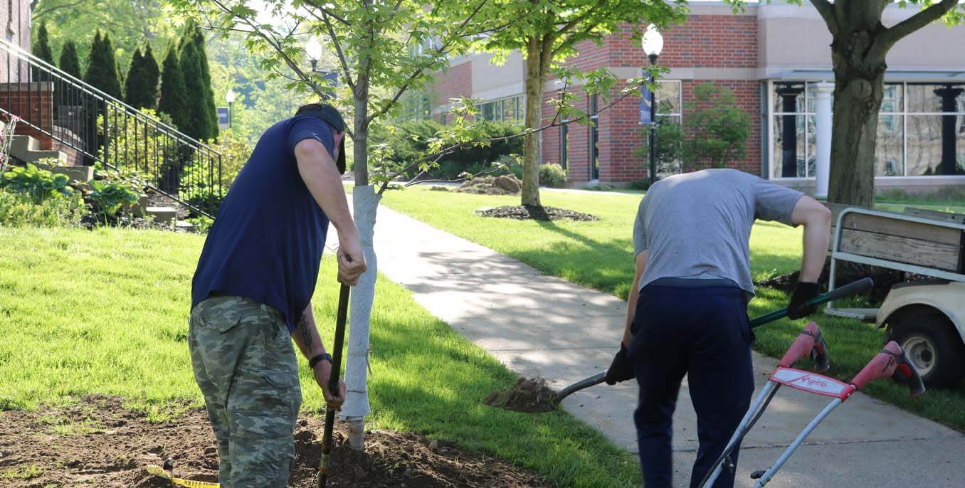 Tree Campus story.jpeg