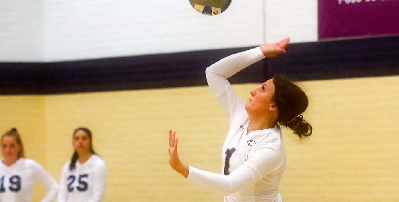 Womens vb 2 story.jpeg