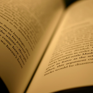 2013 criminal justice 