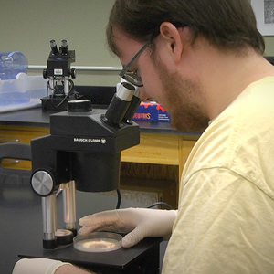 Butcher Pickens research   