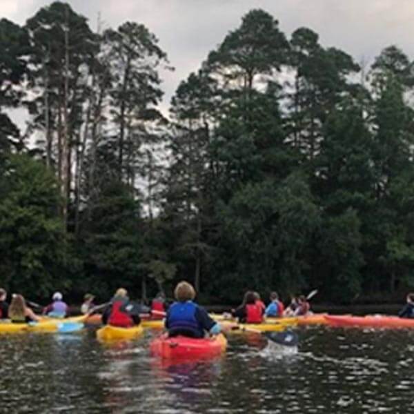 Enivronmental Education Certification   