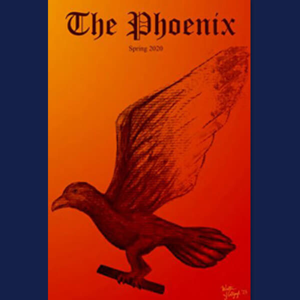 Phoenix cover   